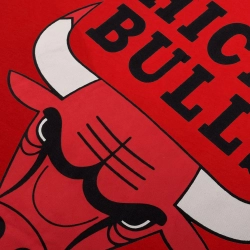 NBA CHICAGO BULLS CLASSIC CREST T-SHIRT 'RED'