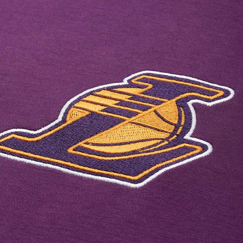 NBA LOS ANGELES LAKERS GRAPHIC OVERSIZED T-SHIRT 'PURPLE'