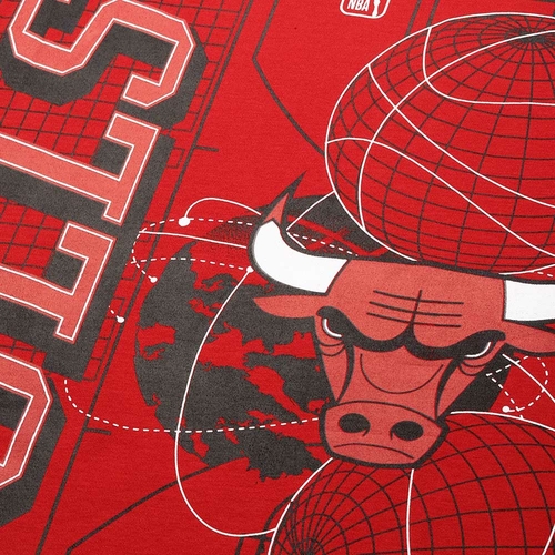 NBA CHICAGO BULLS CITY OVERSIZED T-SHIRT 'RED'