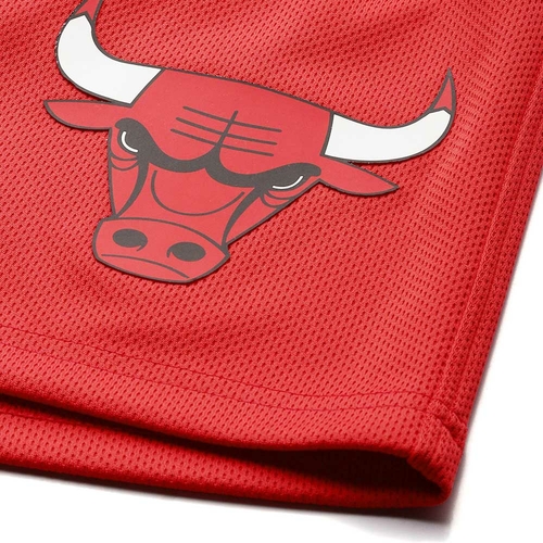 NBA CHICAGO BULLS BASKETBALL SHORTS 'RED'