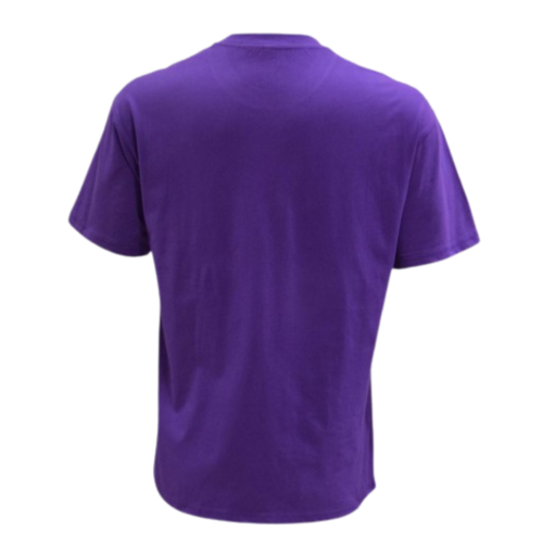 LOS ANGELES LAKERS CHAMPIONS GRAPHIC PRINT OVERSIZED T-SHIRT 'PURPLE'
