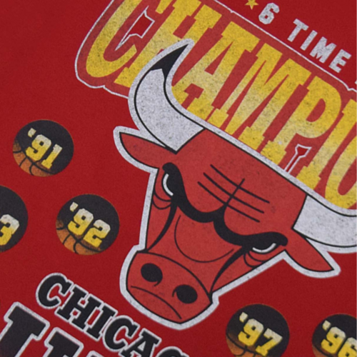 CHICAGO BULLS CHAMPIONS GRAPHIC PRINT OVERSIZED T-SHIRT 'RED'