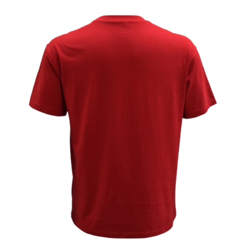 CHICAGO BULLS CHAMPIONS GRAPHIC PRINT OVERSIZED T-SHIRT 'RED'