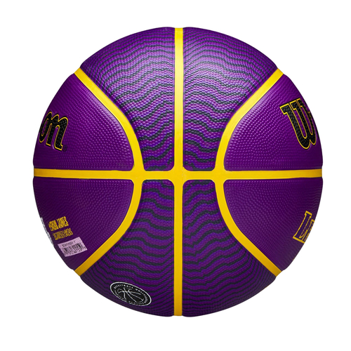 Lebron james hot sale basketball ball