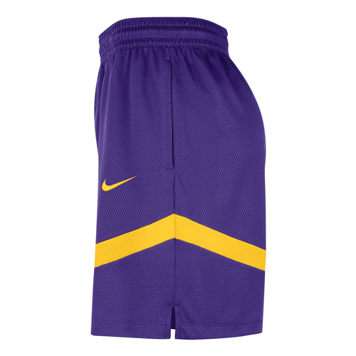 NIKE LOS ANGELES LAKERS ICON PRACTICE DRI-FIT NBA 8 INCHES SHORTS 'PURPLE'