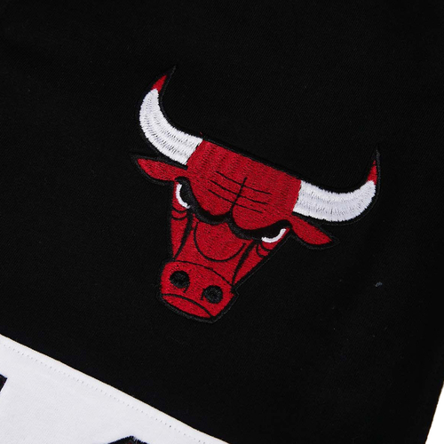 NBA CHICAGO BULLS EMBROIDERED OVERSIZED POLO FULL SLEEVE T-SHIRT 'RED'