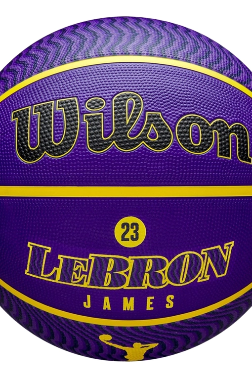 Wilson - Wilson NBA Player Icon Outdoor Basketball Lebron James