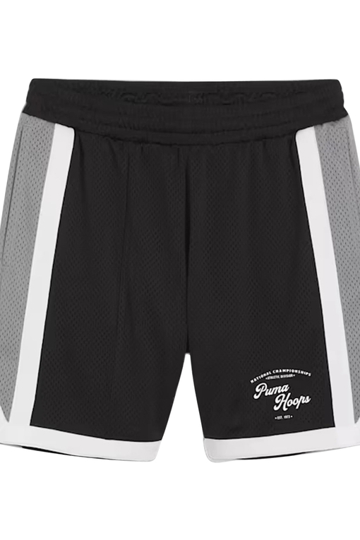 Puma mesh shorts online