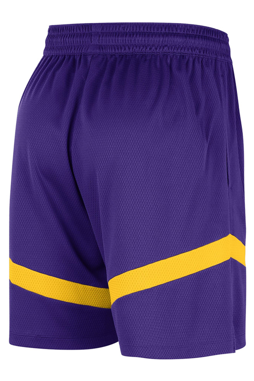 Nike Nike Los Angeles Lakers Icon Practice Dri Fit Nba 8 Inches Shorts Purple NBA