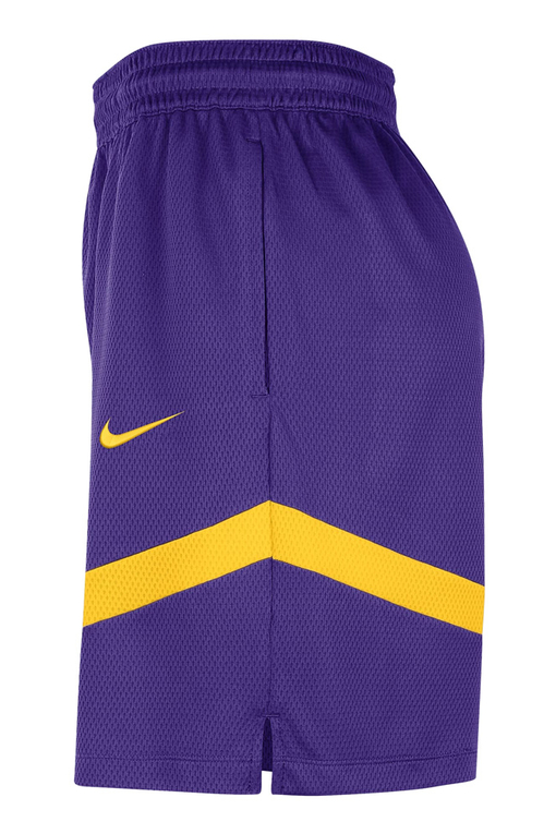 Nike Nike Los Angeles Lakers Icon Practice Dri Fit Nba 8 Inches Shorts Purple NBA