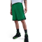NIKE DNA DRI-FIT 8 INCHES BASKETBALL SHORTS 'GREEN/BLACK'