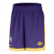 NIKE LOS ANGELES LAKERS DNA DRI-FIT NBA 6 INCHES SHORTS 'PURPLE'