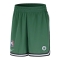 NIKE BOSTON CELTICS DNA DRI-FIT NBA 6 INCHES SHORTS 'GREEN'