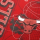NBA CHICAGO BULLS CITY OVERSIZED T-SHIRT 'RED'