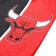 NBA CHICAGO BULLS GAME DAY SHORTS 'BLACK'