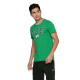 NBA: BOSTON CELTICS CORE TYPOGRAPHY T SHIRT - GREEN