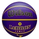 WILSON NBA PLAYER ICON OUTDOOR BASKETBALL LEBRON JAMES 'PURPLE'