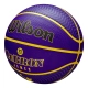 WILSON NBA PLAYER ICON OUTDOOR BASKETBALL LEBRON JAMES 'PURPLE'