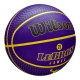 WILSON NBA PLAYER ICON OUTDOOR BASKETBALL LEBRON JAMES 'PURPLE'