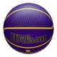 WILSON NBA PLAYER ICON OUTDOOR BASKETBALL LEBRON JAMES 'PURPLE'