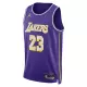 NIKE LOS ANGELES LAKERS LEBRON JAMES DRI-FIT NBA 2025/26 STATEMENT EDITION SWINGMAN JERSEY 'PURPLE'