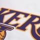 NBA LEBRON JAMES LOS ANGELES LAKERS NAME & NUMBER T-SHIRT 'WHITE'
