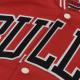 CHICAGO BULLS LETTERMAN JACKET 'RED'