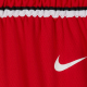 NIKE CHICAGO BULLS NBA SWINGMAN ICON EDITION SHORTS 'RED'