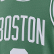 NIKE BOSTON CELTICS JAYSON TATUM DRI-FIT NBA SWINGMAN ICON EDITION JERSEY 'GREEN'