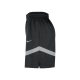 NIKE BROOKLYN NETS DRI-FIT NBA ICON+ PRACTICE SHORTS 'BLACK'