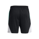 UA CURRY SPLASH SHORTS 'BLACK'
