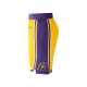 NIKE LOS ANGELES LAKERS ICON EDITION NBA SWINGMAN SHORTS 'YELLOW/PURPLE'
