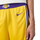 NIKE LOS ANGELES LAKERS ICON EDITION NBA SWINGMAN SHORTS 'YELLOW/PURPLE'