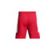 UA BASELINE SHORTS 'RED'