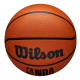 WILSON NBA DRV OUTDOOR BASKETBALL SIZE 7 'BROWN'