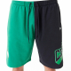 NEW ERA BOSTON CELTICS NBA GRAPHIC SHORTS 'GREEN'