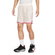 NIKE GIANNIS DNA DRI-FIT NBA 6 INCHES SHORTS 'WHITE'