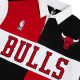 NBA CHICAGO BULLS EMBROIDERED OVERSIZED POLO FULL SLEEVE T-SHIRT 'RED'