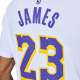 NIKE LEBRON JAMES LOS ANGELES LAKERS #23 NBA T-SHIRT 'WHITE'